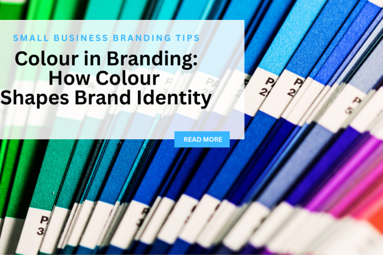 Sevans Designs Blog Article | Colour in Branding: How Colour Shapes Brand Identity | Small Business Marketing Resource Sevans Designs Blog is a marketing resource for local businesses in Loyalist Township, Kingston, Napanee & surrounding area offering small business marketing, branding and design tips to grow your business.